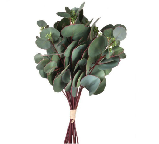 Silver Dollar Eucalyptus Bundle