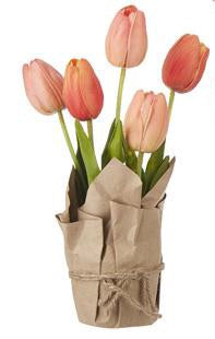 Paper Wrapped Potted Tulips - 3 Colors