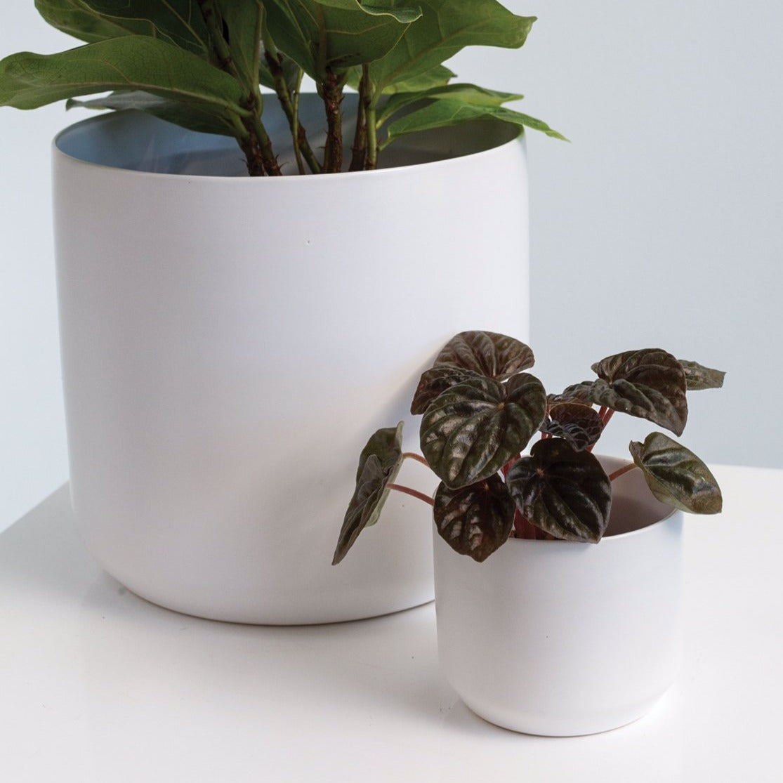 White Kendall Pot - Mini