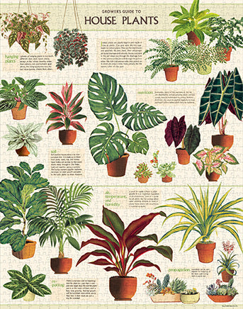 Puzzle - House Plants