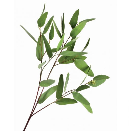 Long Seeding Eucalyptus Spray