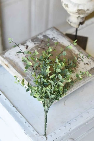14” seraph vine bush