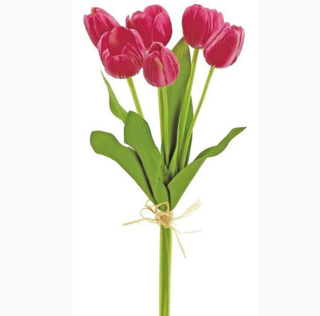 Fuchsia Tulip Bundle - 6 Stems