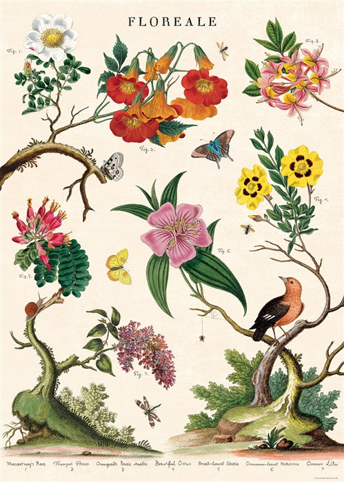 Floreale poster