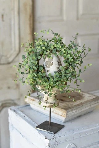 6.5” seraph vine wreath