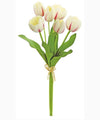 White Parrot Ruffled Tulip Stem