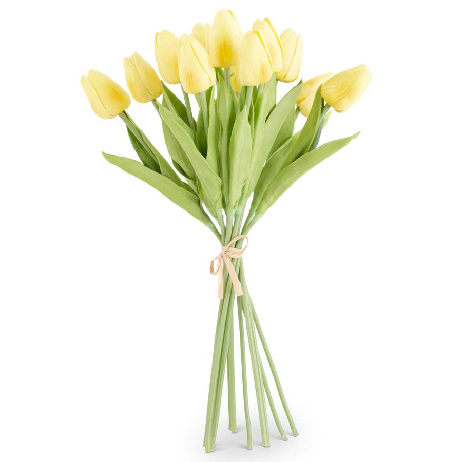 Light Yellow Tulip Bundle