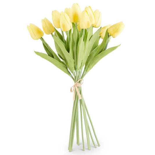Light Yellow Tulip Bundle