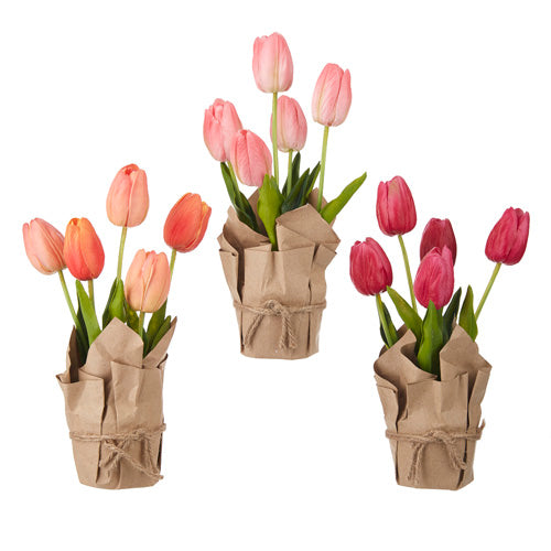 Paper Wrapped Potted Tulips - 3 Colors