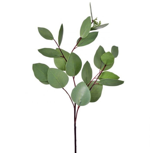 Heart Eucalyptus Stem
