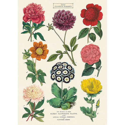 British Flower Garden Botanica Poster