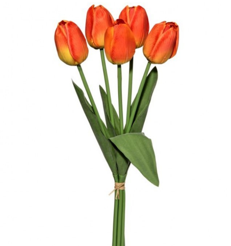 Orange Tulip Bundle