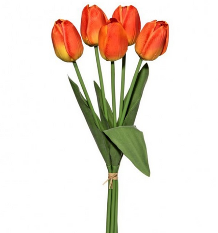 Paper Wrapped Potted Tulips - 3 Colors